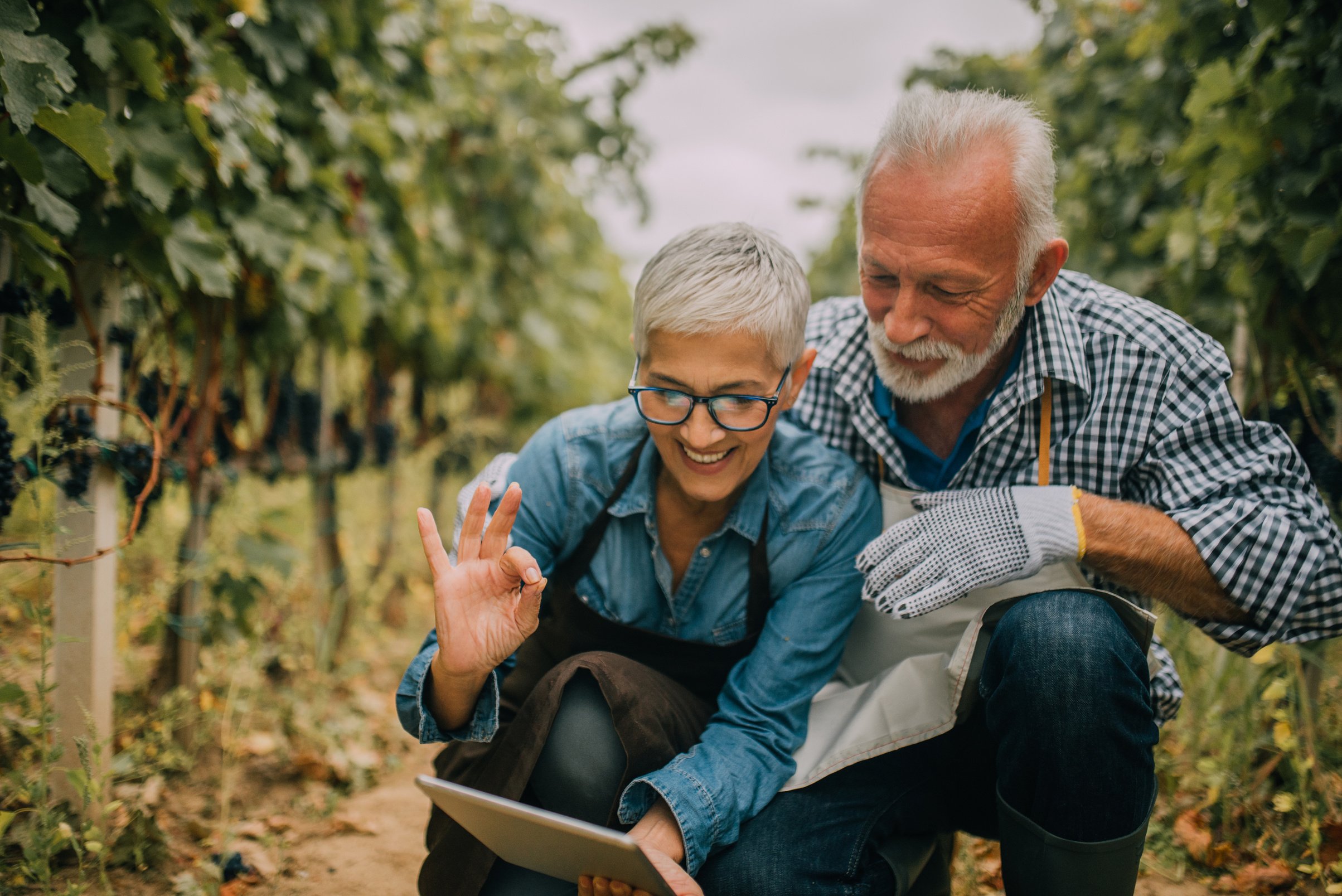 Older couple using digital tablet together